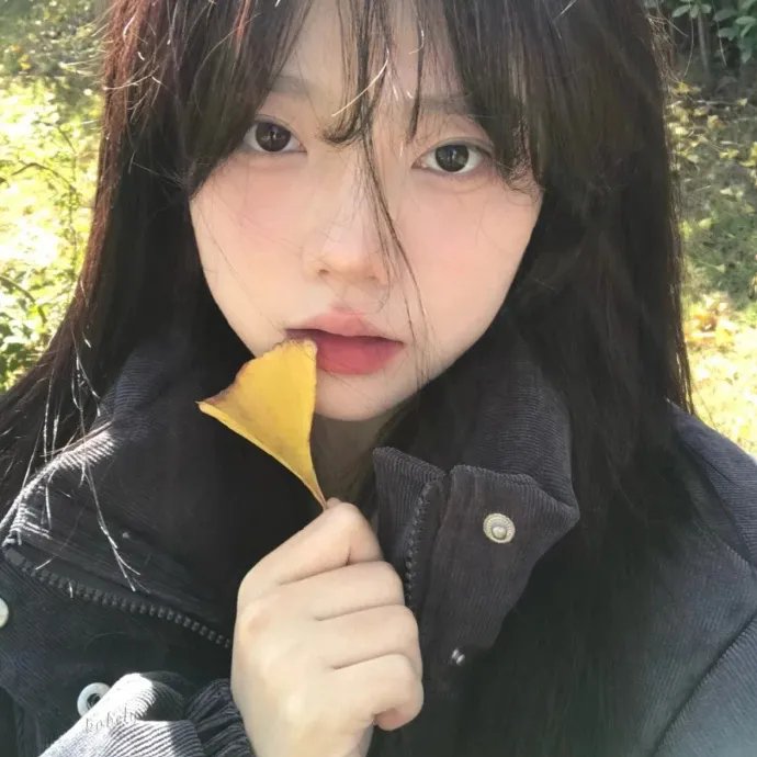 优雅的相遇
